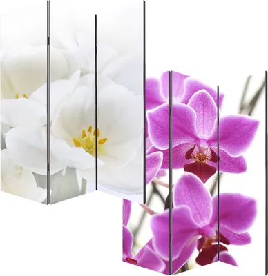 Produktbild von Foto-Paravent Paravent Raumteiler Trennwand M68 180x120cm, Orchidee