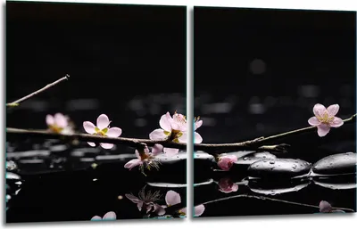 Produktbild von Herdabdeckplatten 2x40x52 Glaskeramikfeld 2-Teilig Glas Spritzschutz Blumen