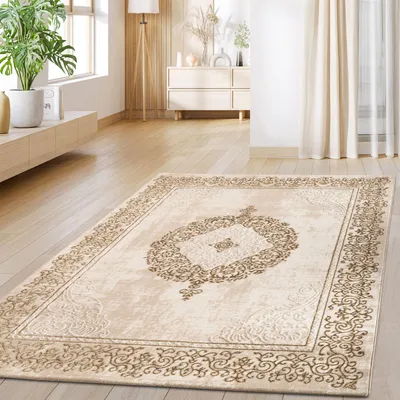 A living room with a rug on the floor, a plant, and furniture in the background.