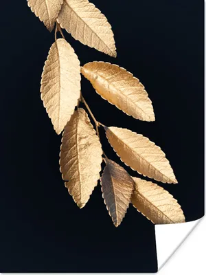 Produktbild von MuchoWow® Poster Blätter - Schwarz - Gold - Luxus - Pflanzen 90x120 cm - Wohnzimmer