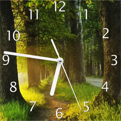 Produktbild von Wallario Design Wanduhr Allee bei Sonnenuntergang aus Echtglas, Größe 20 x 20 cm