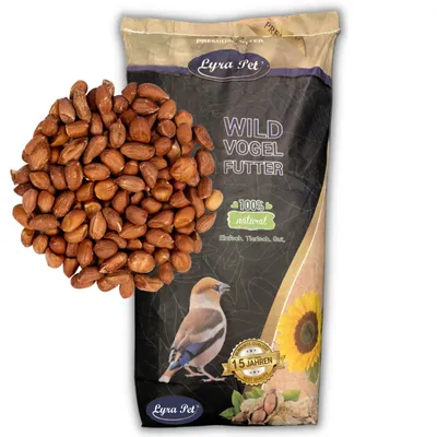 Produktbild von 10 kg Lyra Pet® Erdnusskerne mit Haut Neue Ernte