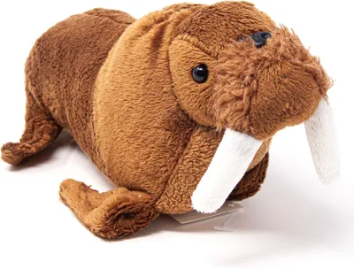 A plush toy walrus is shown against a white background.