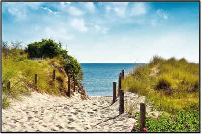 Produktbild von Wallario Wandbild Auf dem Sandweg zum Strand, Größe: 61 x 91,50 cm, Poster mit schwarzem Aluminiumrahmen