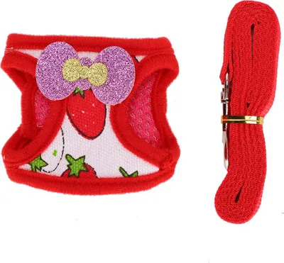 Immagine prodotto di Set di pettorine per animali di piccola taglia con comodo pettorale e gilet di trazione per conigli criceti porcellini d'India