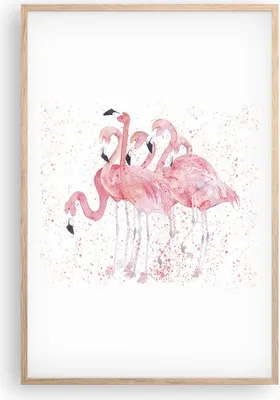 Produktbild von Gerahmtes Poster - Rahmen in heller Eiche - Flamingo Vogel Wasser - 61x91,5 cm - Wand Bild - Wanddeko - Wandbilder - Wandposter - Bilderrahmen - Bilder - Kunstdruck - Wandbild - P2NPA61x91-3899