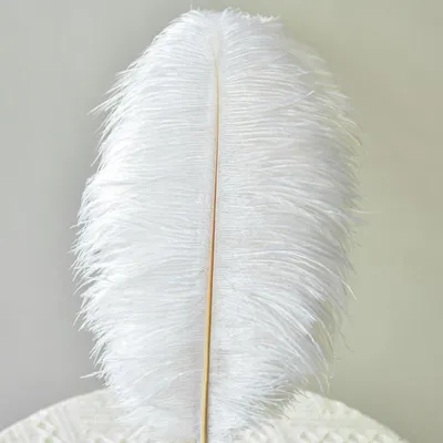 Image de Ensemble de 30 plumes d'autruche naturelles pour la décoration