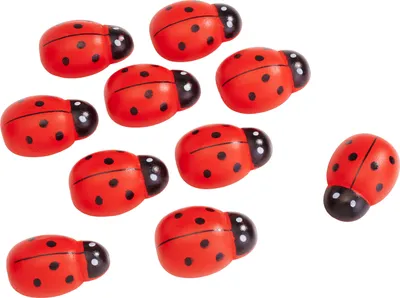 Produktbild von VBS Holz-Marienkäfer Maxi 10er Packung