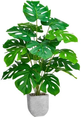 Image de Décorations décoratives, plantes artificielles de 70 cm pour la chambre, la salle de bains, la cuisine, la maison et le salon