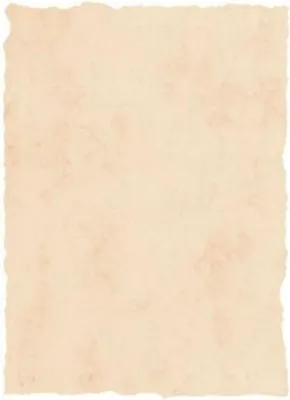 Produktbild von Papier pergamino Michel Beige A4 25 Piezas