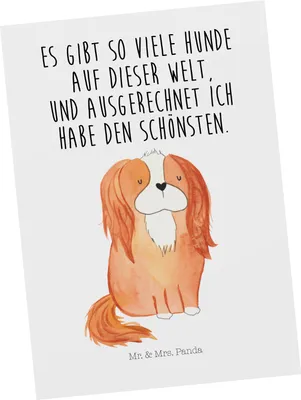 Produktbild von Mr. & Mrs. Panda Postkarte Hund Cavalier King Charles Spaniel - Weiß - Geschenk, bildkarte, Postkarten, Fotokarte, Cockerspaniel, Bester, Ansichtskarte, Spruch, Sprüche
