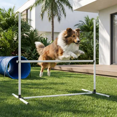 Produktbild von YZNAHRE 4x Agility Hürdenset Hunde PVC Slalomstangen Training Set Höhenverstellbar Kunststoff Hürdenset mit Transporttasche für Hundesport, Weiß