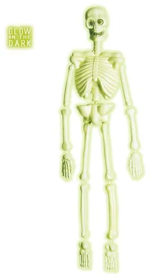Immagine prodotto di Laboratorio neon scheletro 3D 92cm WIDMANN S.R.L.