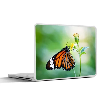 Produktbild von MuchoWow® Laptop Aufkleber Sticker Cover Schmetterling - Blumen - Insekten 36.5x27.5 cm - Laptop-Sticker