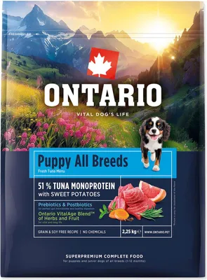 Zdjęcie produktu dla Szczeniak z Ontario