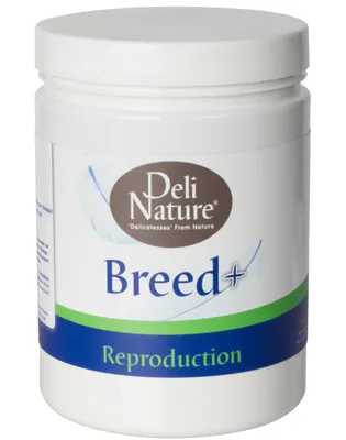 Zdjęcie produktu dla Deli Nature Breed + Suplement dla papug na lęgi 500g