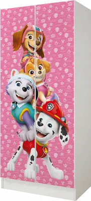 Produktbild von Kinderschrank 70cm breit mit Paw Patrol Charaktere Zuma Skye Everest Marshall Mehrzweckschrank für Kinderzimmer Schrank für Kinder 70cmx162cmx43cm