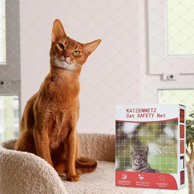 Obrázok produktu pre Fiqops sieť pre mačky Ostatné príslušenstvo pre mačky Bezpečnostná sieť na balkón Bezpečnostná sieť pre mačky odTransparent 3x8m