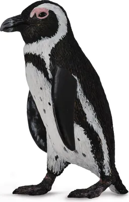 Image de COLLECTA Pingouin