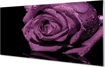 Produktbild von Glasbilder 140x70 Wandkunst Lila Rose