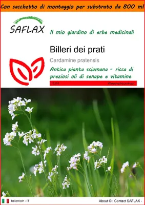 Immagine prodotto di SAFLAX Garden in the bag - Billeri dei prati - 100 semi - Cardamine
