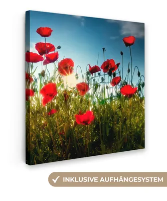 Produktbild von MuchoWow® - Leinwandbilder - Mohnblumen - Toskana - Sonne - Rot - Blau, Wandbild, Wanddeko Bilder Wohnzimmer, 90x90 cm