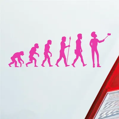 Produktbild von Auto Aufkleber Evolution Selfie Stick Handy Entwicklung Darwin 19x6,7 cm Pink Sticker Heckscheibenaufkleber