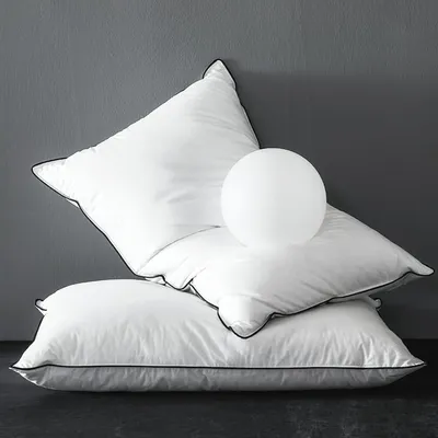 Obrázok produktu pre Vankúš 80 x 80 cm, husacie páperie, 100 % bio bavlna, pre bočných spáčov