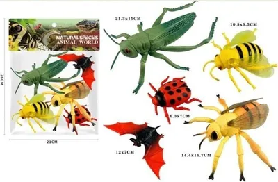 Produktbild von Insektenfiguren Set – Realistische Naturentdeckung