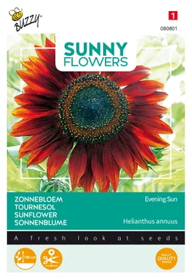 Produktbild von Buzzy Sunny Flowers Sonnenblume Abendsonne Samen - Ca. 4 gr | Buzzy_080801