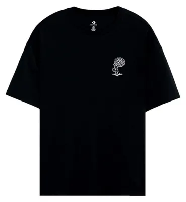 Produktbild von Converse FESTIVAL STATEMENT GRAPHIC TEE