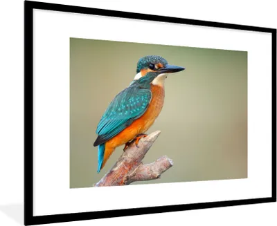 Produktbild von MuchoWow® Gerahmtes Poster Vogel - Eisvogel - Zweig 90x60 cm - Poster mit Schwarzem Bilderrahmen Wandposter Rahmen Foto Bilder - Wanddekoration - Fotos