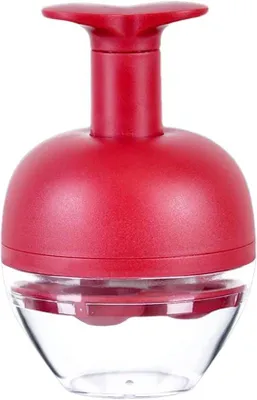 Obrázok produktu pre Odkôstkovač – Odkôstkovač na ovocie – Rýchle odkôstkovanie – Konštrukcia so 4 otvormi – 15,5 x 10 cm