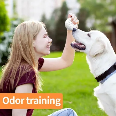 Set von 12 Hundetrainingszubehör für, Hauptbild