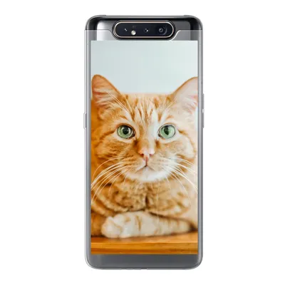 Produktbild von MuchoWow® Handyhülle Schutzhülle Hülle für Samsung Galaxy A80 Katze - Holz - Schrank Silikon Softcase Handy Hülle - Schutzdeckel