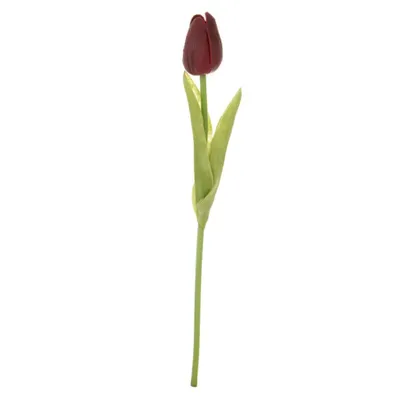 Obrázek produktu pro Autronic Tulipán plastový, červený 1 ks