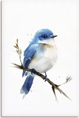Produktbild von ARTland Leinwandbild Aquarell Berghüttensänger Größe: 80x120 cm