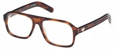 Produktbild von Adidas Originals OR5109 Dark havana 55/16/145 Herren Brillen