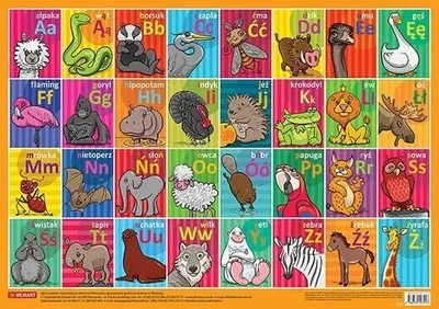 Image de Conseil d'éducation - Lettres