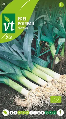 Produktbild von Lauch Carentan  Samen - Ca. 3 gr | VT_211