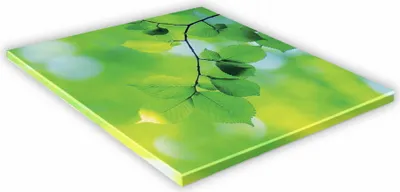 Zdjęcie produktu dla SZKLANA DESKA KUCHENNA 30x30 455f Gałązka