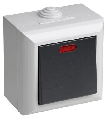 Produktbild von Meister Kontrollschalter 1-fach, Aufputz, IP54, Delta, 7417090, Grau