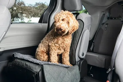 Produktbild von Dirty Dog Autodecke - Hund - Vordersitz - Grau - 112x89 cm