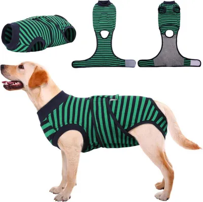 Produktbild von Kuoser Hundebody Op Kastration Atmungsaktiv Leckschutz Grün L