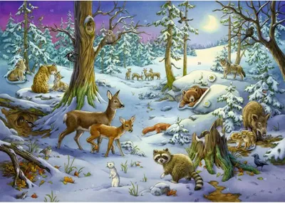 Produktbild von Coppenrath Verlag GmbH & Co.KG Tiere im Winterwald, Sticker-Adventskalender TIERE I.WINTERWA