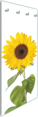 Produktbild von Wallario Flurgarderobe Wandgarderobe aus Glas, mit 7 Haken, Größe 50 x 125 cm, Motiv Sonnenblume