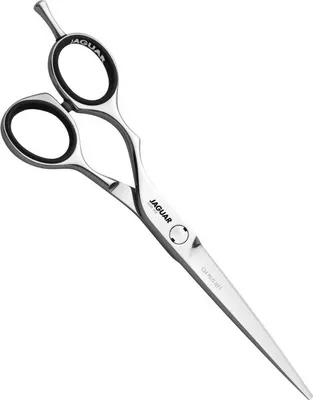 Produktbild von CJ4 Plus Left 5.75" Silver Line