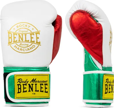 A pair of boxing gloves displayed side-by-side against a white background.