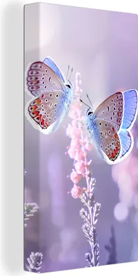 Produktbild von MuchoWow® - Leinwandbilder - Schmetterling - Lavendel - Blumen - Lila, Wandbild, Wanddeko Bilder Wohnzimmer, 20x40 cm