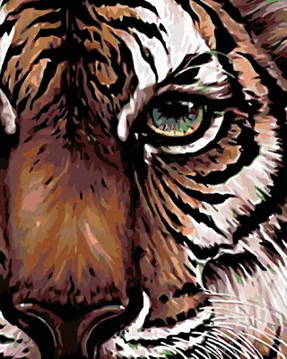 Produktbild von Diamondi - Diamond painting - TIGERBLICK, 40X50 cm, ohne Keilrahmen